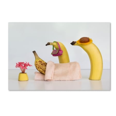 Jacqueline Hammer 'Sick Banana' Canvas Art,16x24